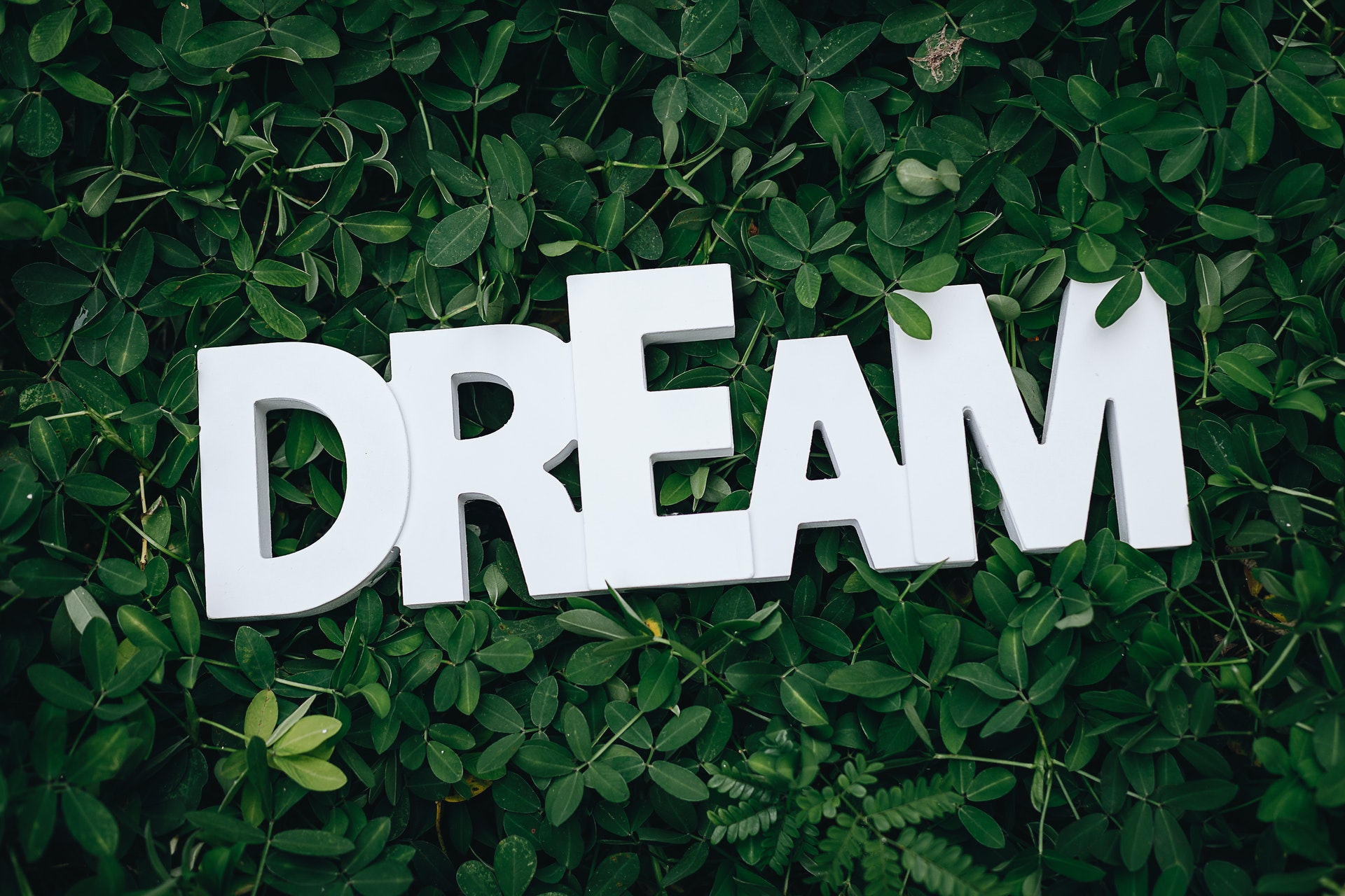 DREAM: You need to take action